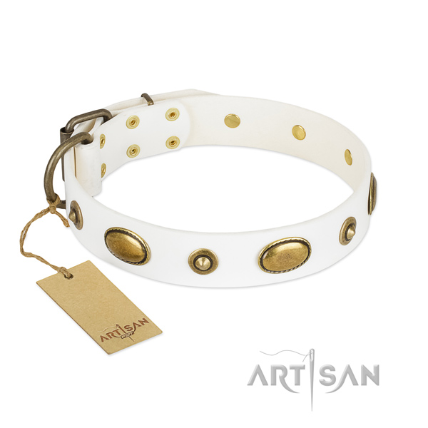 Stylish full grain natural leather collar for your canine