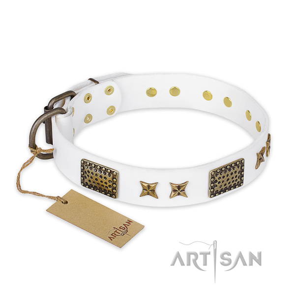 Studded full grain natural leather dog collar with rust resistant traditional buckle