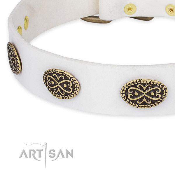 Perfect fit leather collar for your lovely canine