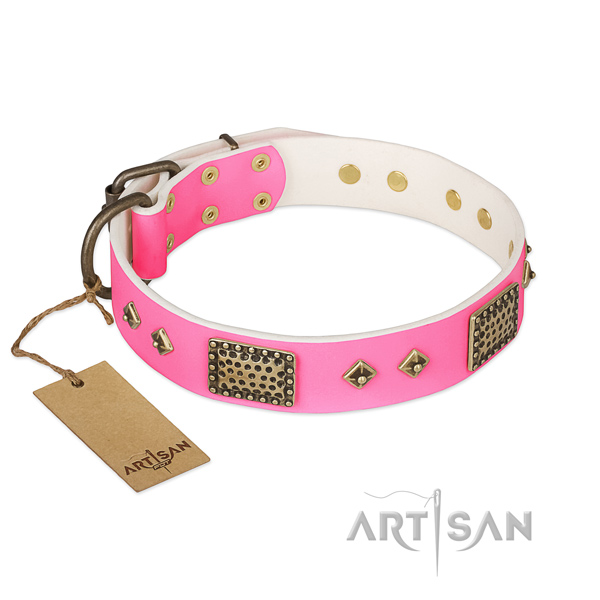 Easy wearing leather dog collar for walking your canine