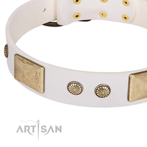 Durable decorations on full grain genuine leather dog collar for your canine