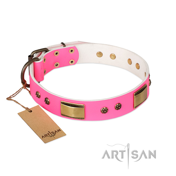 Top quality full grain leather collar for your pet