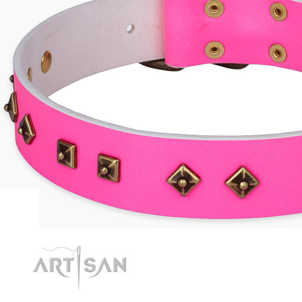 Extraordinary full grain leather collar for your lovely doggie