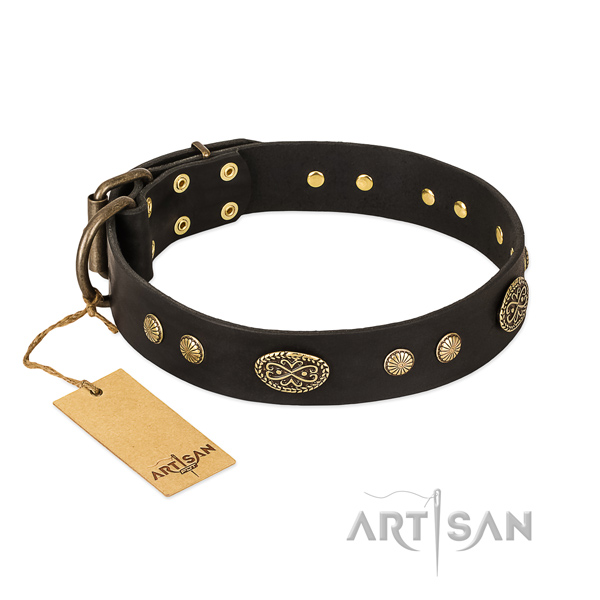 Corrosion resistant studs on full grain natural leather dog collar for your doggie