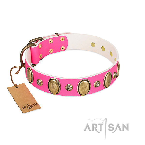 Stylish walking flexible full grain leather dog collar with decorations
