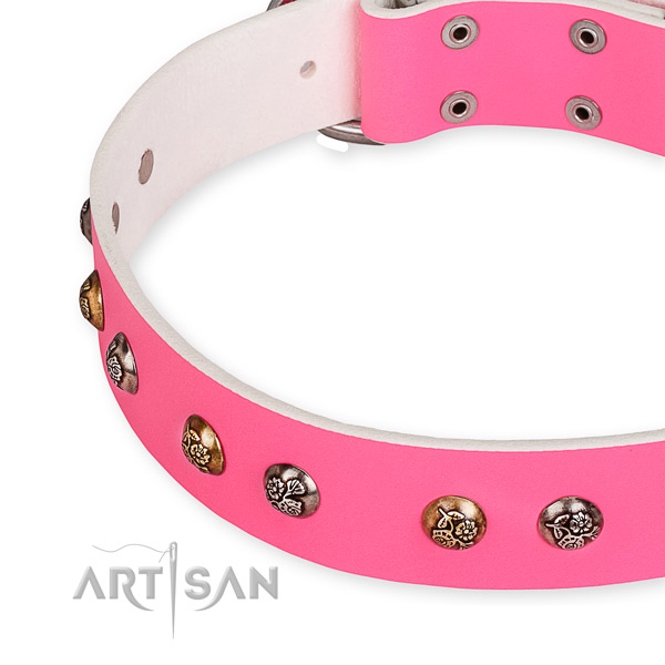 Full grain genuine leather dog collar with trendy reliable studs