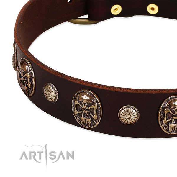 Natural genuine leather dog collar with adornments for everyday walking
