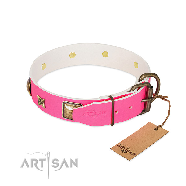 Corrosion resistant fittings on full grain genuine leather collar for basic training your pet