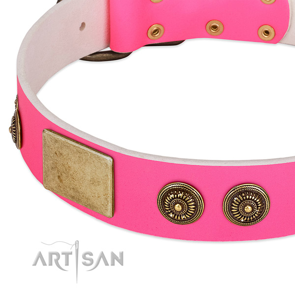 Inimitable dog collar handcrafted for your stylish pet