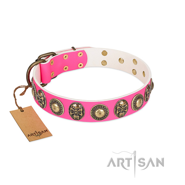 Easy wearing genuine leather dog collar for basic training your pet
