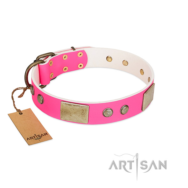 Easy adjustable leather dog collar for walking your canine