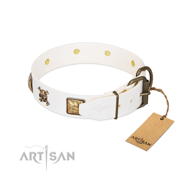 Top notch natural leather dog collar with rust resistant embellishments