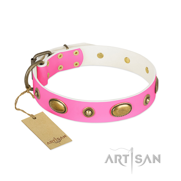 Adorned leather collar for your pet