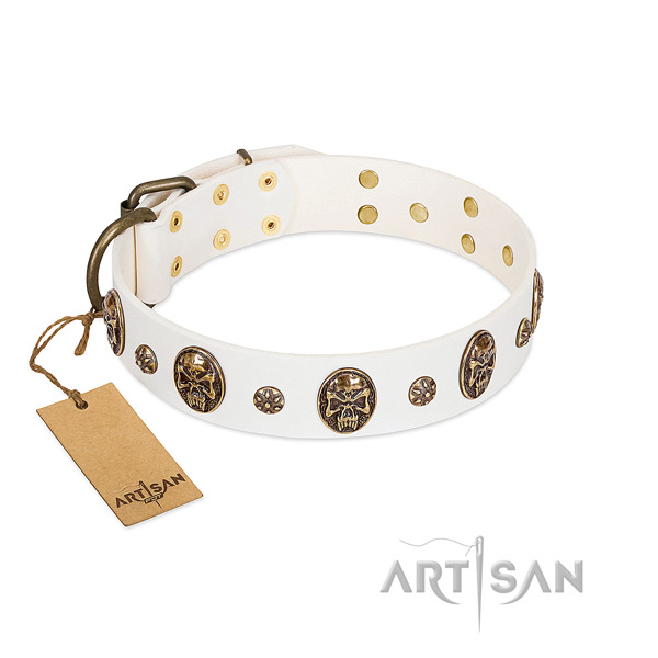 Easy wearing genuine leather collar for your four-legged friend