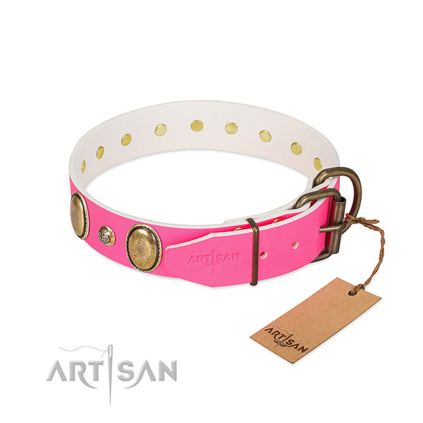 Everyday walking high quality full grain leather dog collar