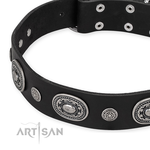 Best quality leather dog collar handcrafted for your stylish doggie