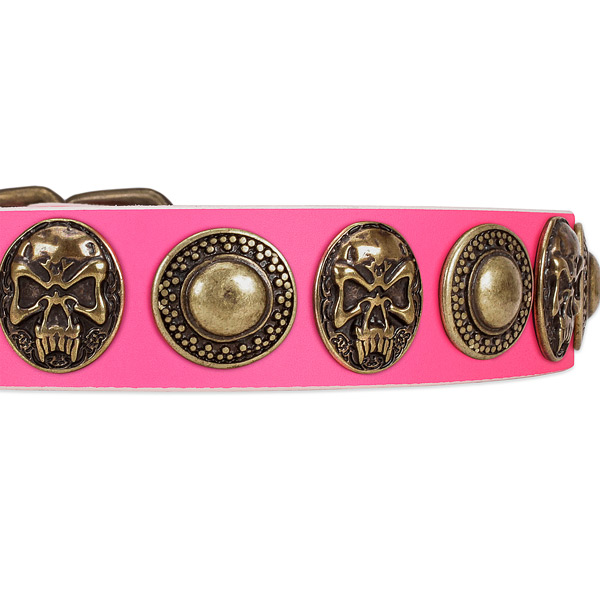 Rust-proof buckle on full grain genuine leather dog collar for your canine
