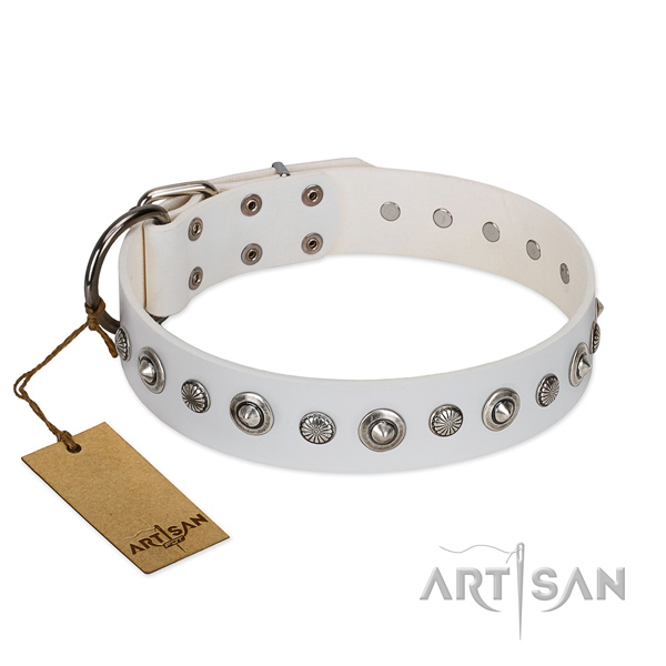 Top notch genuine leather dog collar with incredible studs