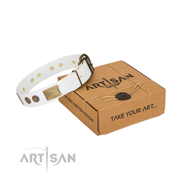 Strong D-ring on natural genuine leather dog collar for daily use