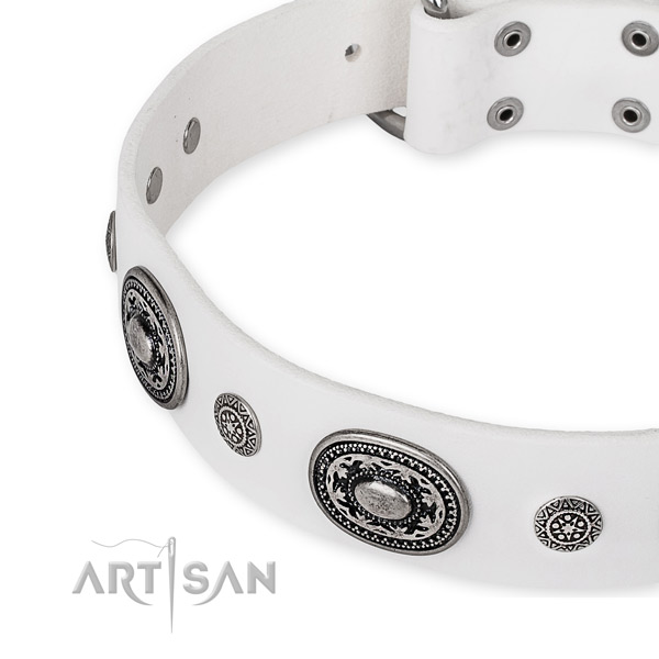 Durable leather dog collar handcrafted for your impressive four-legged friend