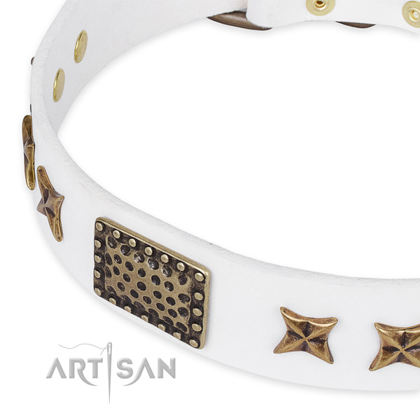 Full grain natural leather collar with corrosion proof traditional buckle for your beautiful four-legged friend