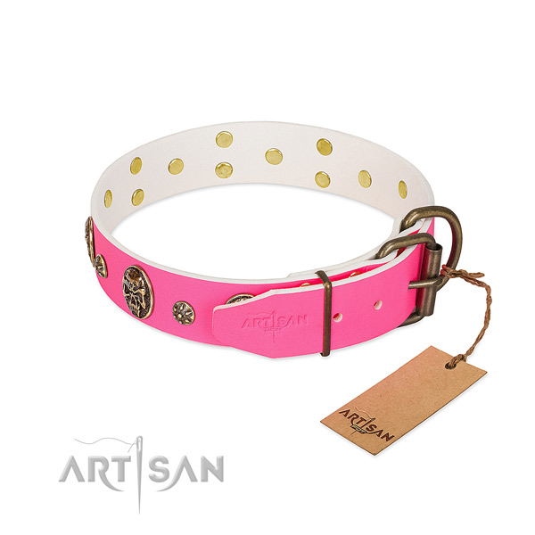 Durable buckle on natural leather collar for walking your four-legged friend