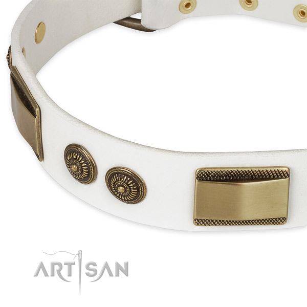 Corrosion resistant embellishments on leather dog collar for your dog