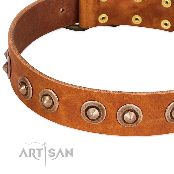Rust-proof adornments on full grain leather dog collar for your doggie