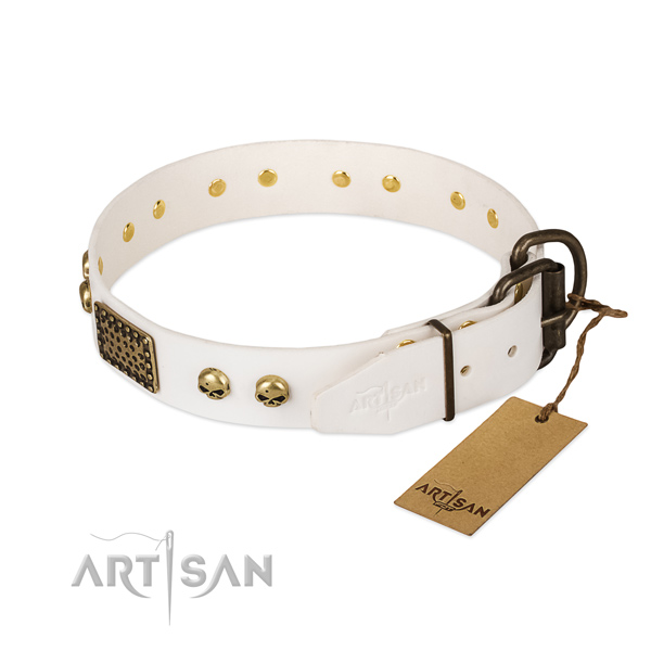 Easy wearing full grain natural leather dog collar for everyday walking your dog