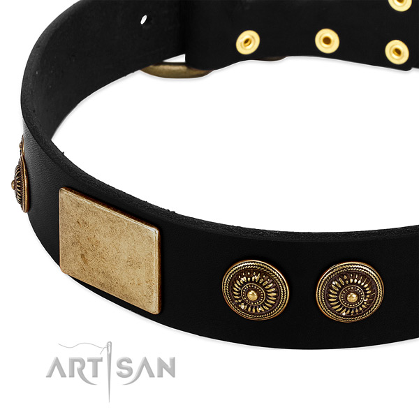Rust-proof decorations on genuine leather dog collar for your pet