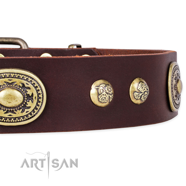 Exceptional natural leather collar for your handsome dog