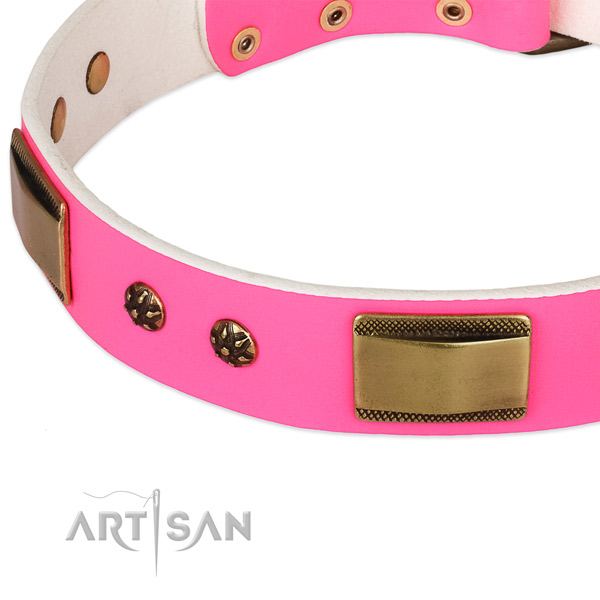 Reliable studs on genuine leather dog collar for your canine