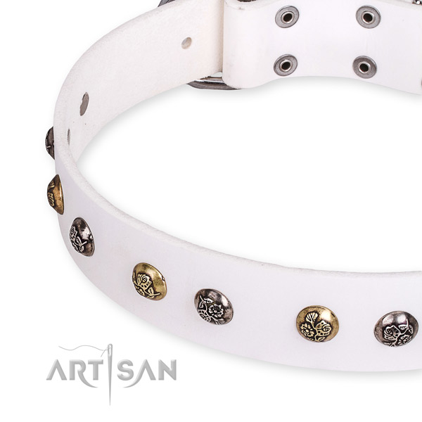 Full grain natural leather dog collar with awesome reliable studs