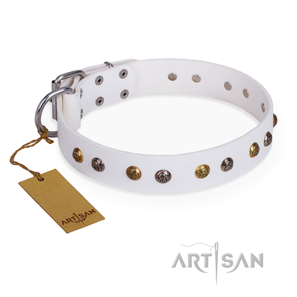 Basic training unique dog collar with corrosion proof buckle