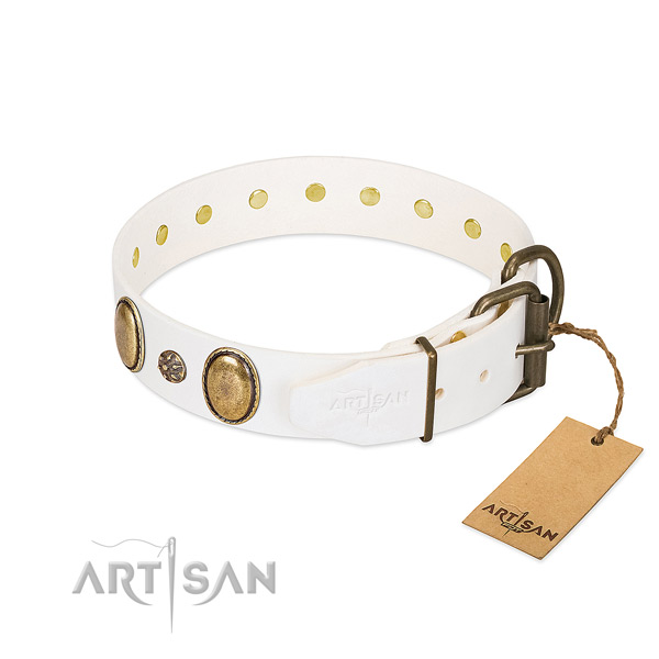 Daily use high quality leather dog collar with embellishments
