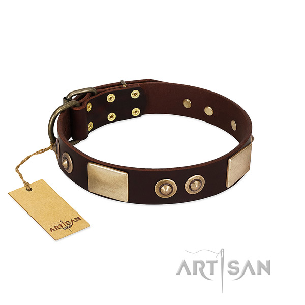 Adjustable genuine leather dog collar for daily walking your pet