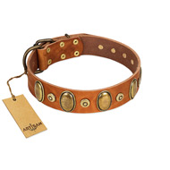 "Crystal Sand" FDT Artisan Tan Leather Pitbull Collar with Vintage Looking Oval and Round Studs