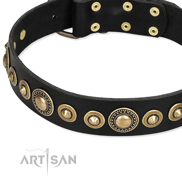 High quality full grain natural leather dog collar handmade for your handsome pet
