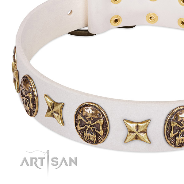 Studded dog collar handmade for your impressive canine