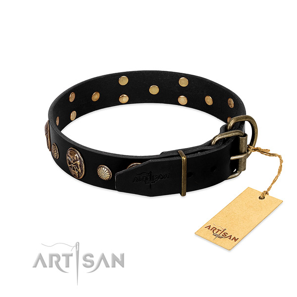 Corrosion resistant D-ring on leather collar for stylish walking your canine