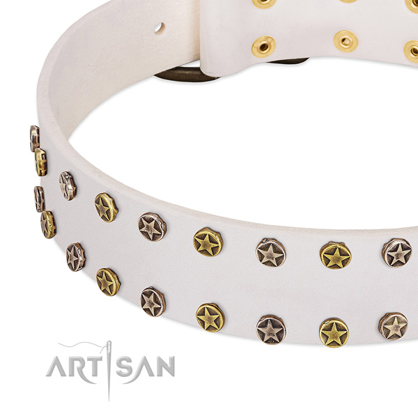 Amazing studs on full grain natural leather collar for your canine