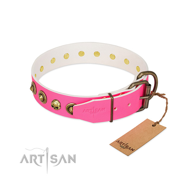 Full grain leather collar with significant adornments for your canine