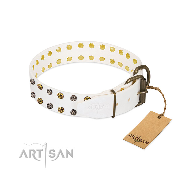 Unusual genuine leather dog collar with strong decorations