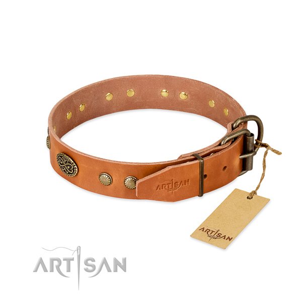 Rust-proof buckle on full grain natural leather dog collar for your four-legged friend