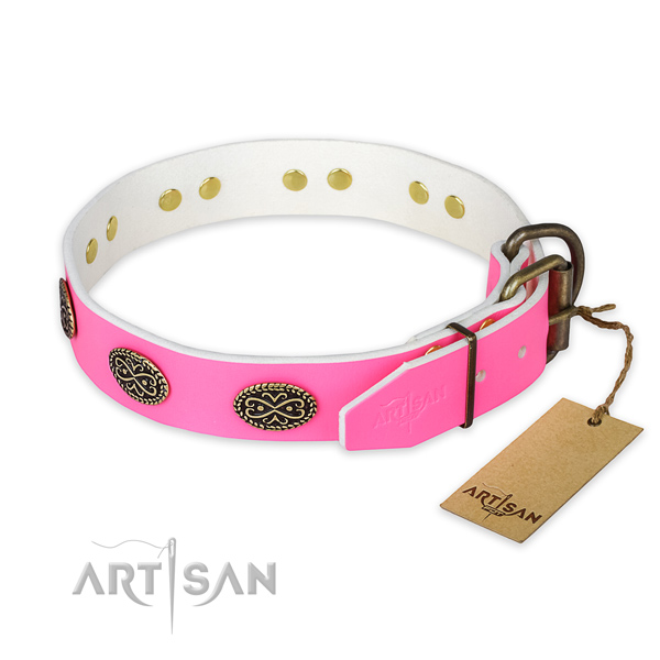 Corrosion resistant embellishments on stylish walking dog collar
