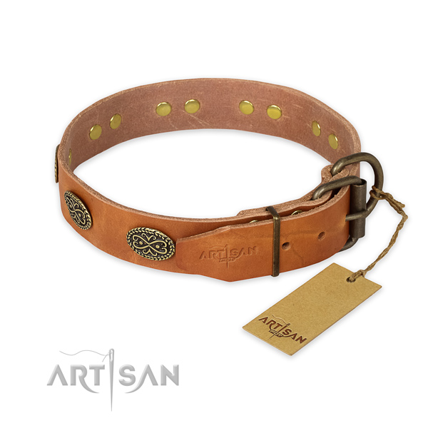 Durable hardware on leather collar for stylish walking your doggie
