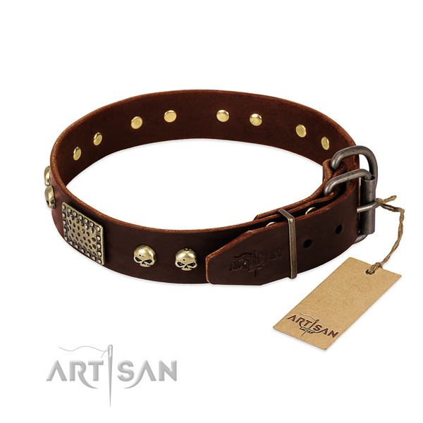 Corrosion proof decorations on basic training dog collar