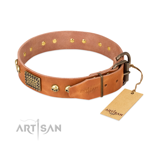 Rust-proof adornments on easy wearing dog collar
