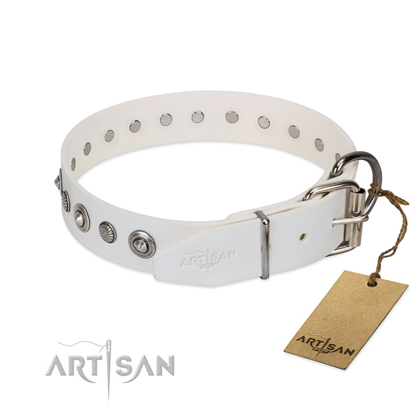 Best quality full grain genuine leather dog collar with significant embellishments