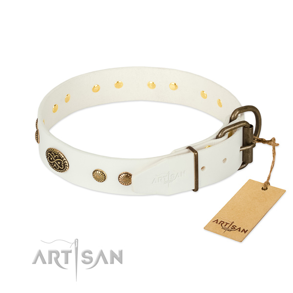 Rust resistant adornments on genuine leather dog collar for your pet